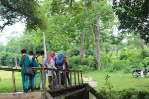 Hutan Jati dan Pdang rumput Dander 1535639_575771852492098_841637752_n